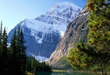 足球比分旧版新浪有哪些特点和回忆？